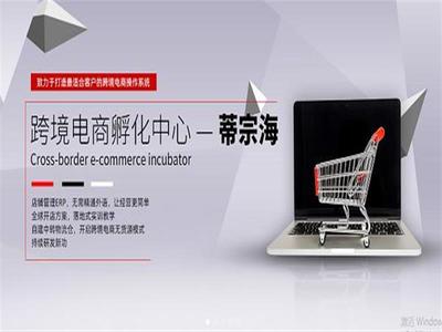 蒂宗海專(zhuān)業(yè)經(jīng)營(yíng)互聯(lián)網(wǎng)加盟培訓(xùn)、跨境電商招商加盟等產(chǎn)品及服務(wù)